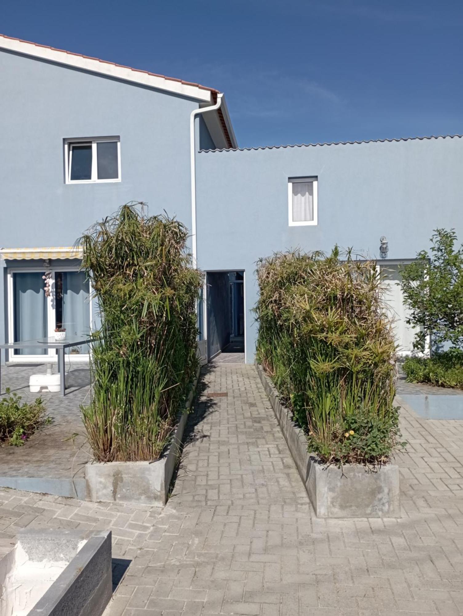 T2 Na Praia Da Costa Nova - Yellow Door Экстерьер фото